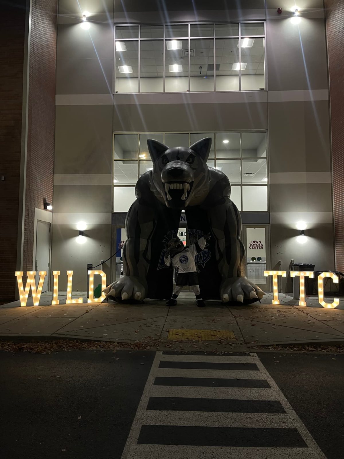 Lit WILD and TTC marquee letters flanking an inflatable wolf mascot tunnel outside Town Toyota Center in Wenatchee